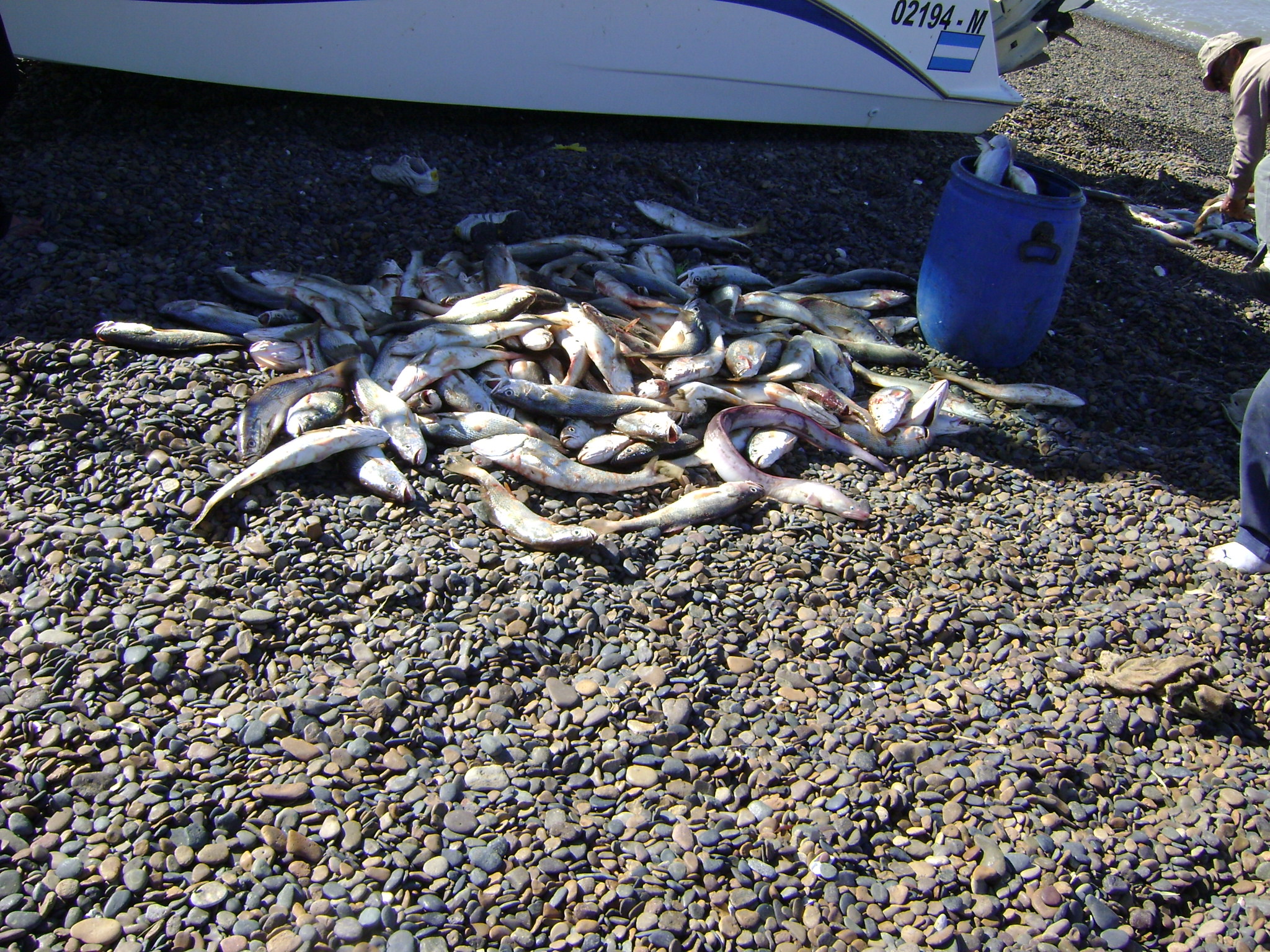 fotos/2012-12-08 - Pesca Bahia San Blas/DSC05470.JPG